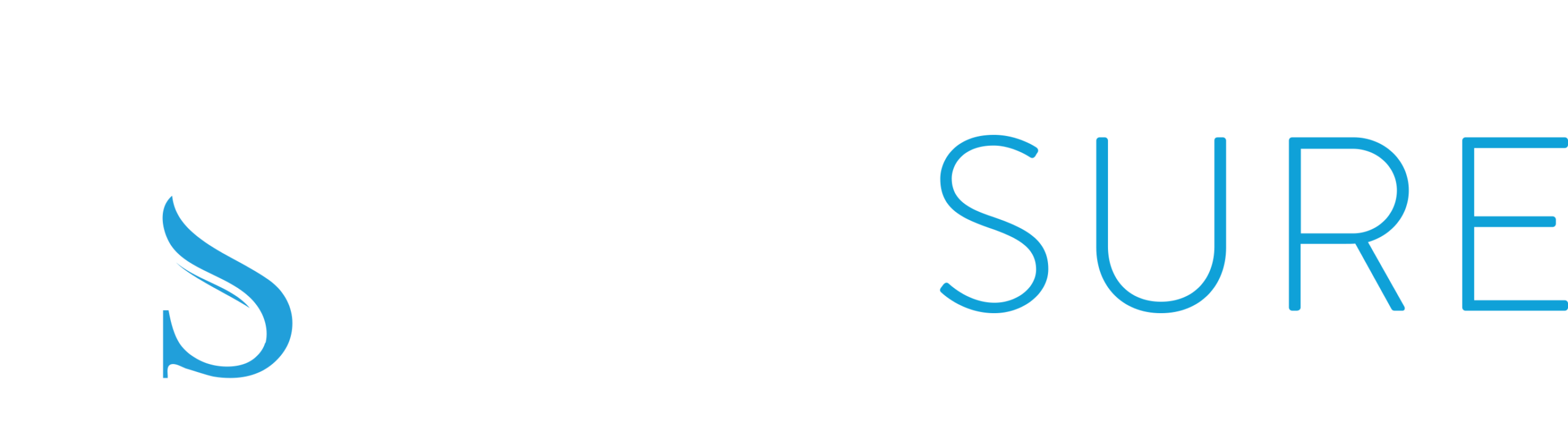 Finsure Logo NO BACKGROUND-1